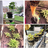 12 Pcs Hydroponics Pots with 10 Pcs Plant Labels Hydroponics Mesh Pot Black Growing Net for Hydroponics Supplies - Close-Up Angle