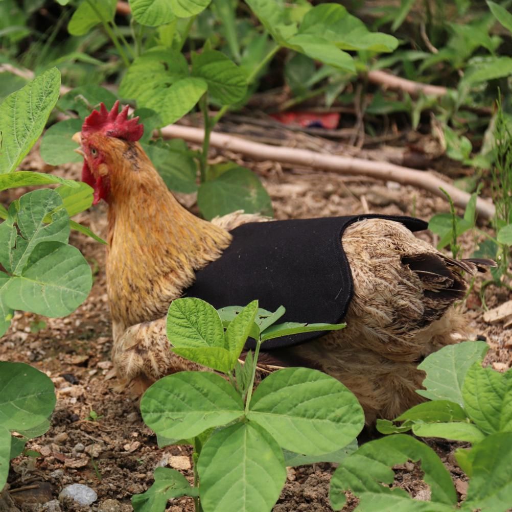 Canvas Chicken Apron Hen Saddle Vest Hen Duck Wing Protection Chicken Jackets Hen Aprons Poultry Care Accessories
