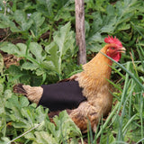 Canvas Chicken Apron Hen Saddle Vest Hen Duck Wing Protection Chicken Jackets Hen Aprons Poultry Care Accessories