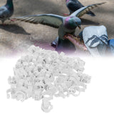 001-100 Numbered Bird Foot Ring Reusable Pigeons Identify Clip Poultry AccessoryWhite