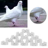 001-100 Numbered Bird Foot Ring Reusable Pigeons Identify Clip Poultry AccessoryWhite - Extra Image