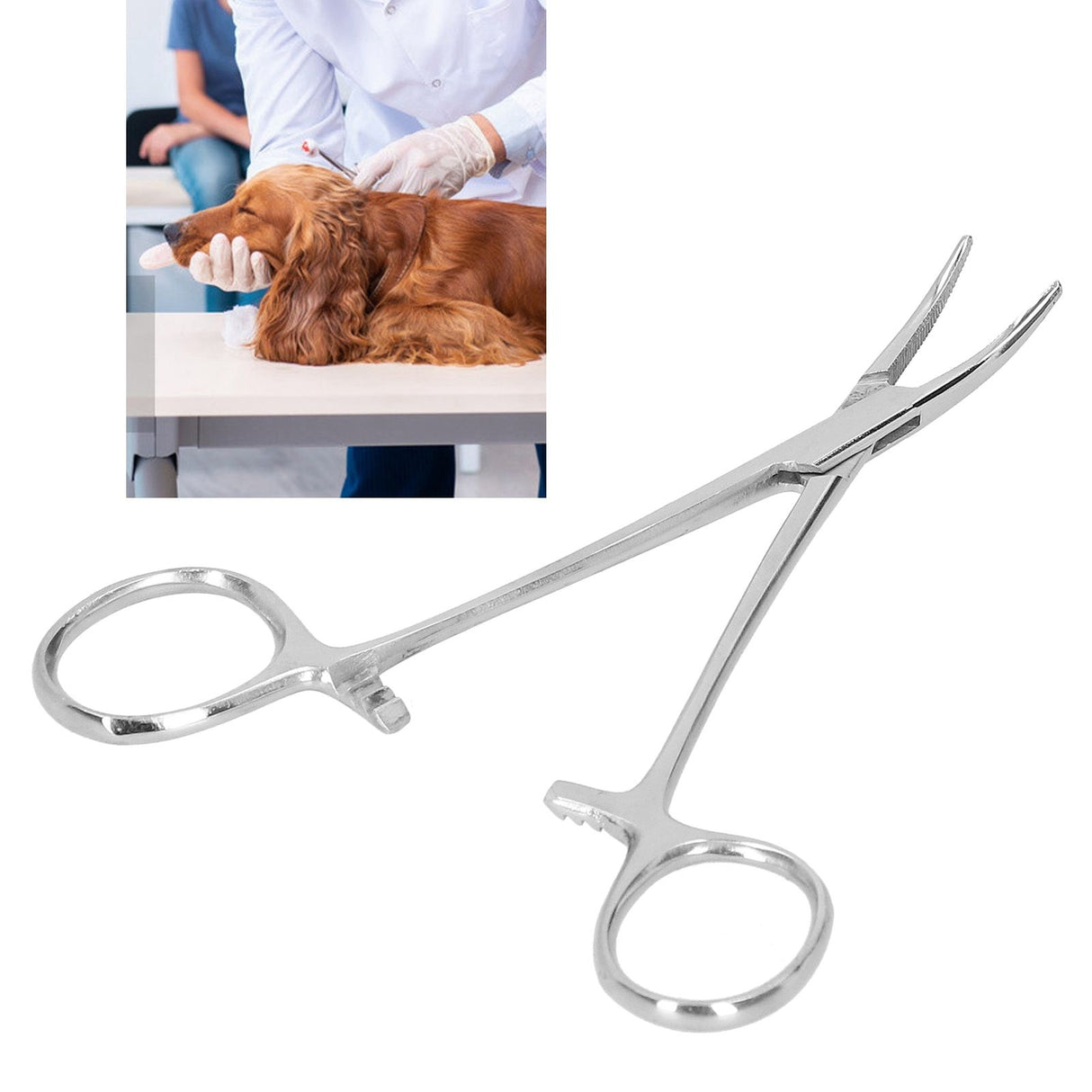 12.5cm Curved Hemostatic Forceps Stainless Steel Hair Tweezers Pliers Livestock Accessory