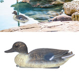 Plastic Simulation Duck Lifelike Duck Decoration Hunting Decoy for Garden 34.5 x 13cm
