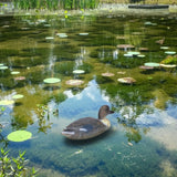 Plastic Simulation Duck Lifelike Duck Decoration Hunting Decoy for Garden 34.5 x 13cm