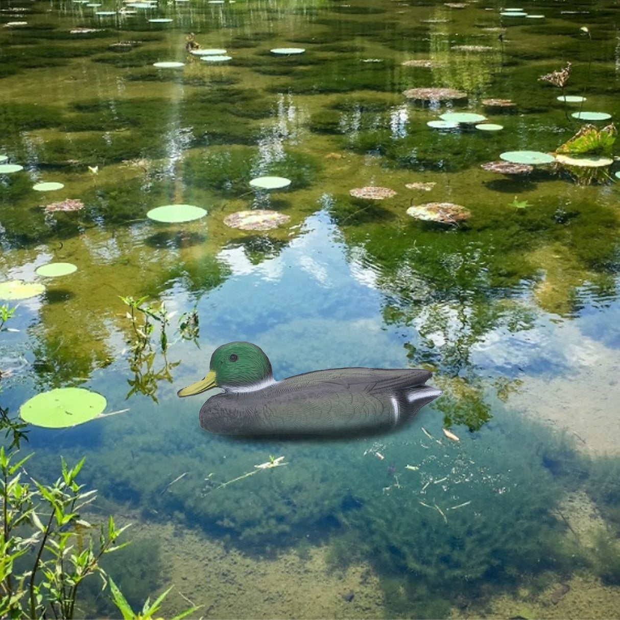 Floating Duck Decoy Simulation Hunting Duck Garden Pool Yard Lake Decoration 26x11.5cmMale