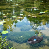 Floating Duck Decoy Simulation Hunting Duck Garden Pool Yard Lake Decoration 26x11.5cmFemale - Extra Image