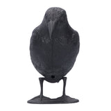 Simulation Plastic Crow Statue Hunting Bait Decoys Tool for Outdoor Garden Decoration - Top-Down View