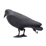 Simulation Plastic Crow Statue Hunting Bait Decoys Tool for Outdoor Garden Decoration