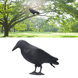 Simulation Plastic Crow Statue Hunting Bait Decoys Tool for Outdoor Garden Decoration