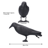 Simulation Plastic Crow Statue Hunting Bait Decoys Tool for Outdoor Garden Decoration - Extra Image