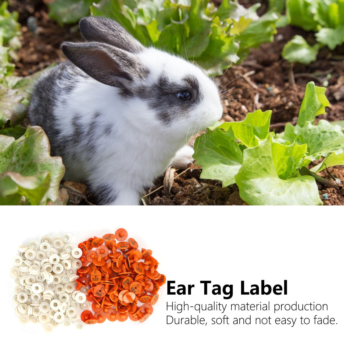 100 Sets Rabbits Ear Tag Numbered Ear Marker Animal Identification Tag Label Farm Supplies