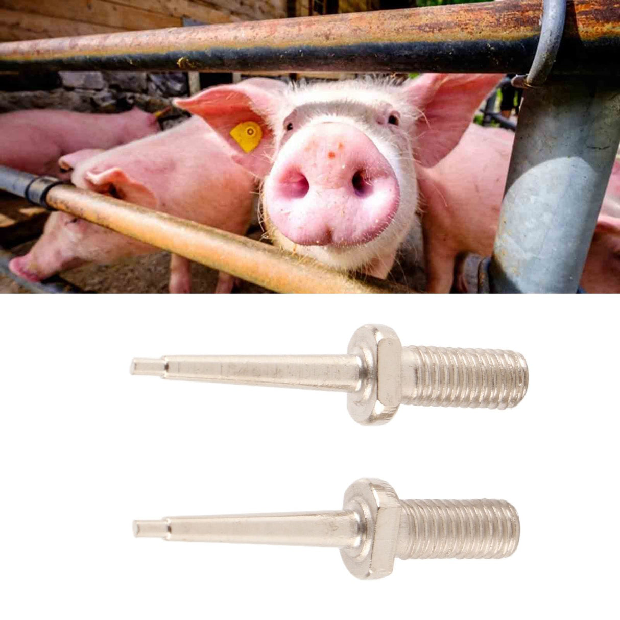 2Pcs Ear Tag Needle Stainless Steel Ear Tag Applicator Pliers Pin Nail for Cattle Pigs Sheep