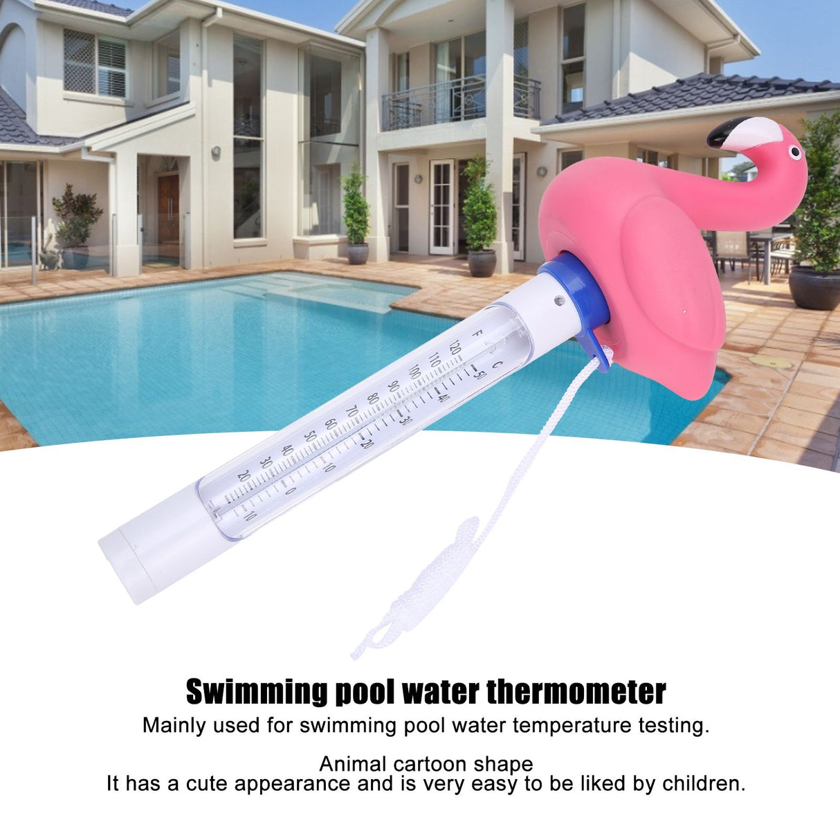 Cartoon Animal Shaped Floating Swimming Pool Water Thermometer Pool Temperature Meter with String
