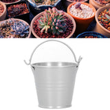 10PCS Flower Pot Mini Succulent Plant Pot Small Metal Bucket for Indoor Outdoor DecorSilver 4x5.5x6cm