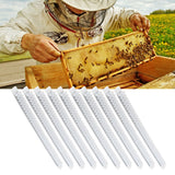 10Pcs Bee Royal Jelly Cups Sheet Bee Rearing Breeding Equipment Beekeeping Accessory - Extra Image