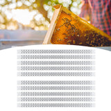 10Pcs Bee Royal Jelly Cups Sheet Bee Rearing Breeding Equipment Beekeeping Accessory