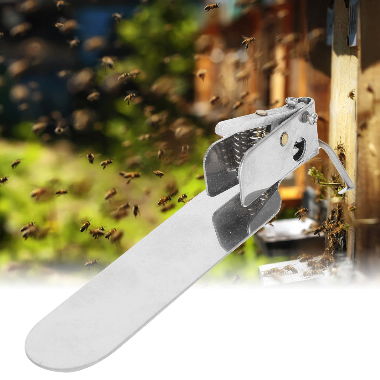 Beekeeping Grafting Tool SingleEnd Queen Bee Larva Grafting Needle Transferring Tool