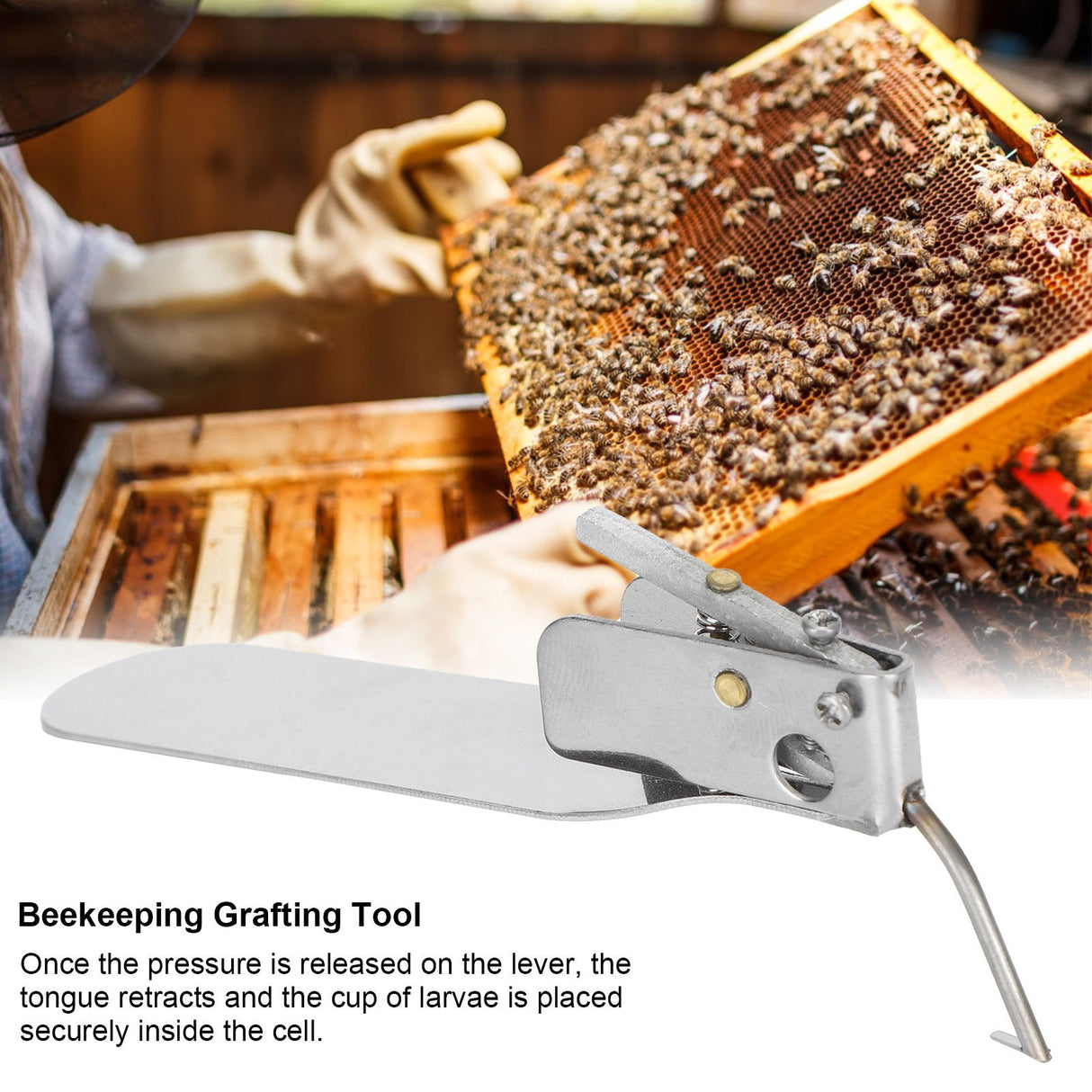 Beekeeping Grafting Tool SingleEnd Queen Bee Larva Grafting Needle Transferring Tool
