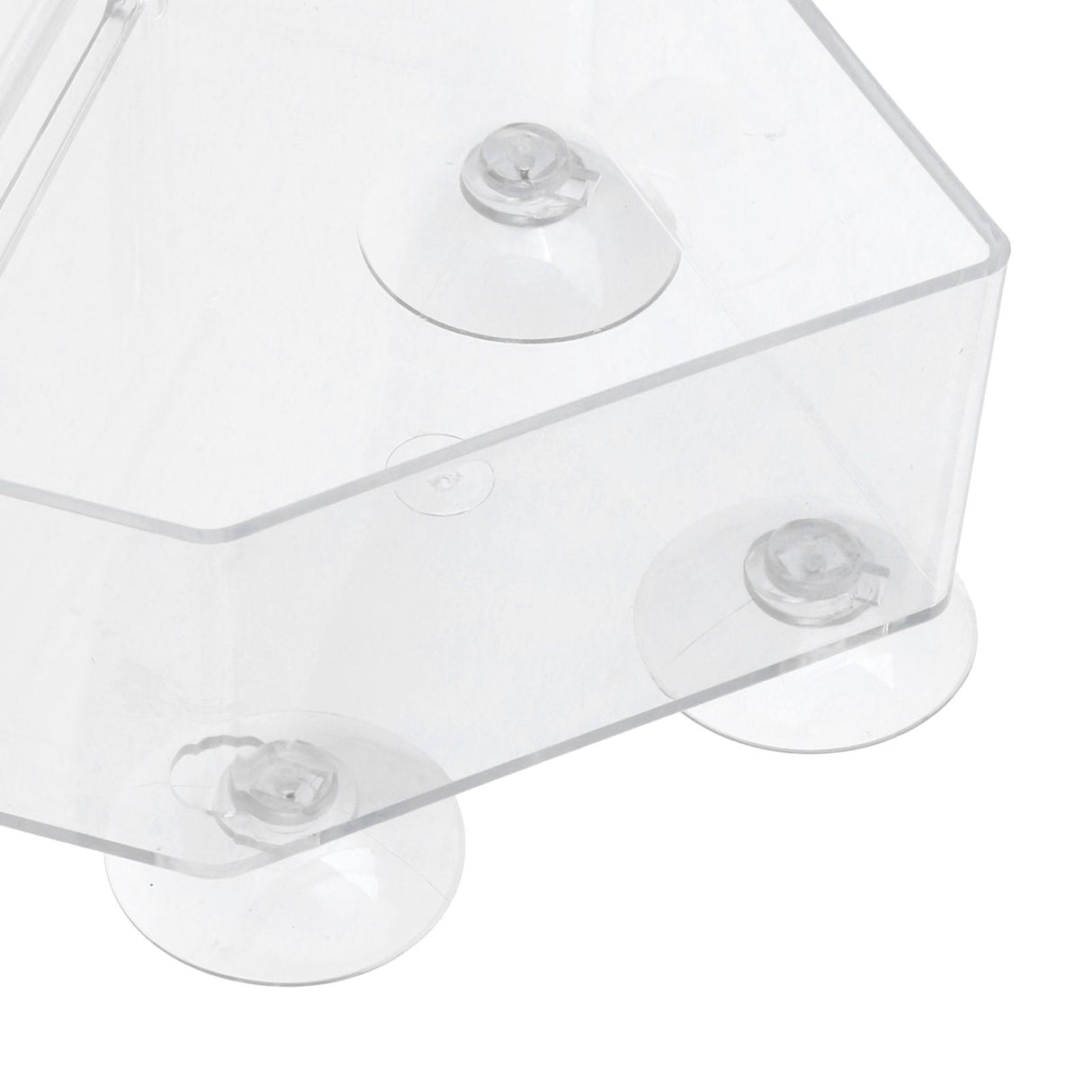 Indoor Outdoor Hanging Bird Feeder PS Transparent Bird Feeding Tool for Feeding Small Birds