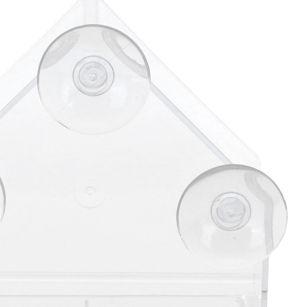 Indoor Outdoor Hanging Bird Feeder PS Transparent Bird Feeding Tool for Feeding Small Birds