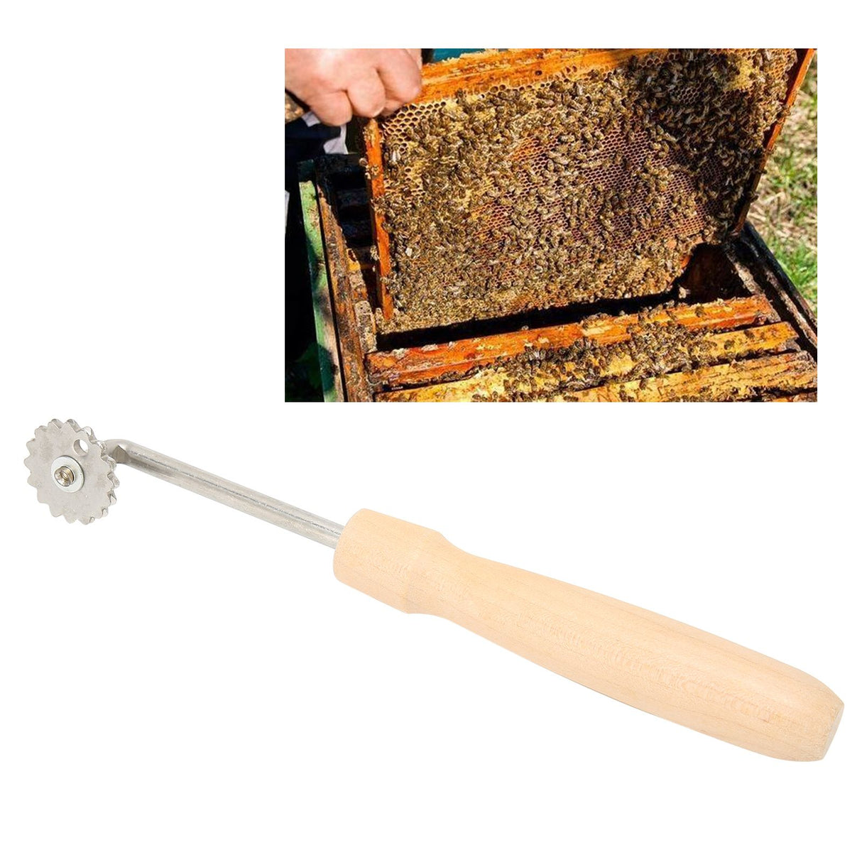 Beekeeping Wire Embedder Beehive Frame Wire Embedding Tool Device Beekeeper Accessory