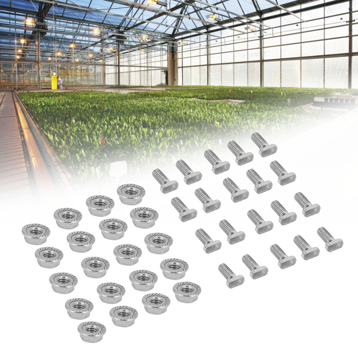 20 Set 304 Stainless Steel M6 Screws with Flange Nut Fasteners Hardware Greenhouse Supplies