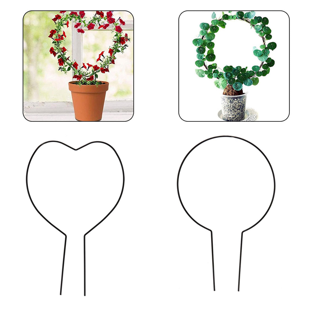 2pcs Vine Plant Support Wire Iron Garden Trellis Potted Climbing Plants Holder Rack