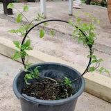 2pcs Vine Plant Support Wire Iron Garden Trellis Potted Climbing Plants Holder Rack