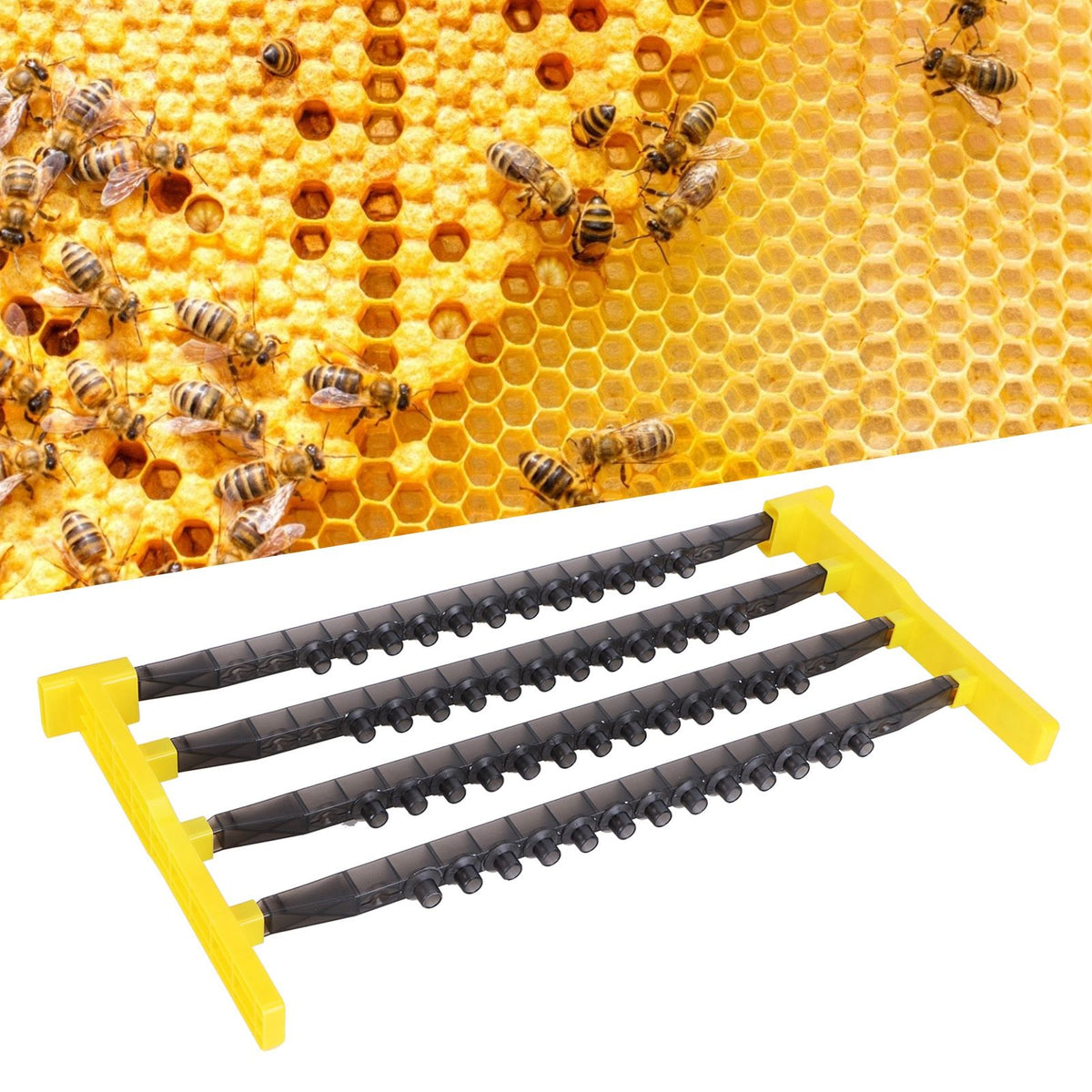 Bee Cell Cups Kit Queen Rearing System Cultivating Queen Cage Apiculture Beekeeping Supplies