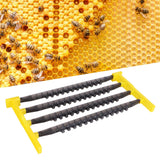 Bee Cell Cups Kit Queen Rearing System Cultivating Queen Cage Apiculture Beekeeping Supplies