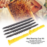 Bee Cell Cups Kit Queen Rearing System Cultivating Queen Cage Apiculture Beekeeping Supplies