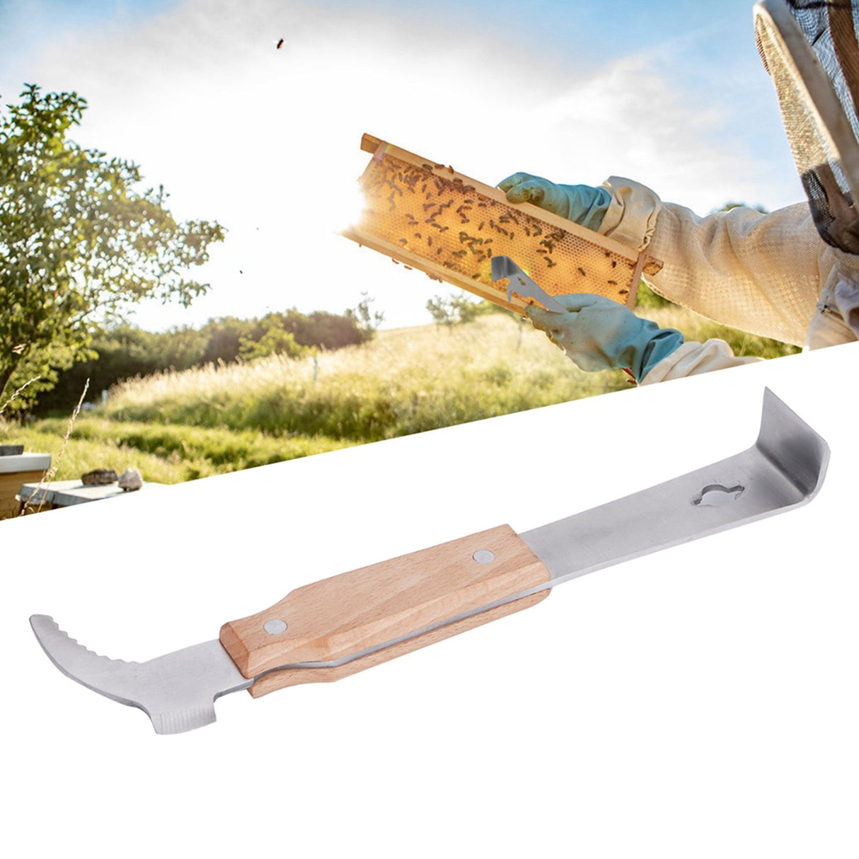 Honey Scraper Stainless Steel Beehive Honey Knife Cutter with Wood Handle Beekeeping Tool