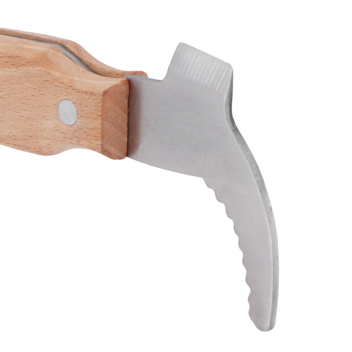 Honey Scraper Stainless Steel Beehive Honey Knife Cutter with Wood Handle Beekeeping Tool
