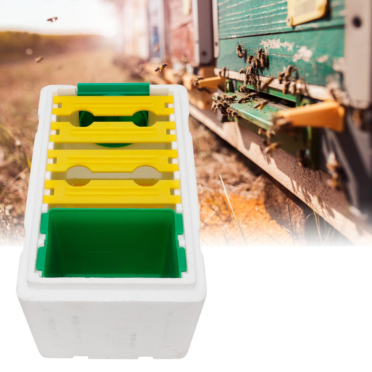 Queen Bee Mating Box Pollination Box Foam Frames Beekeeping Tool Beekeeping Equipment