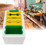 Queen Bee Mating Box Pollination Box Foam Frames Beekeeping Tool Beekeeping Equipment