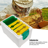 Queen Bee Mating Box Pollination Box Foam Frames Beekeeping Tool Beekeeping Equipment - Extra Image