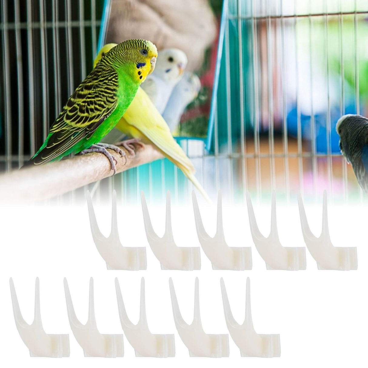 20PCS Bird Fruit Fork Plastic Birds Food Feeder Tool Pet Supplies Birdcage Accessory
