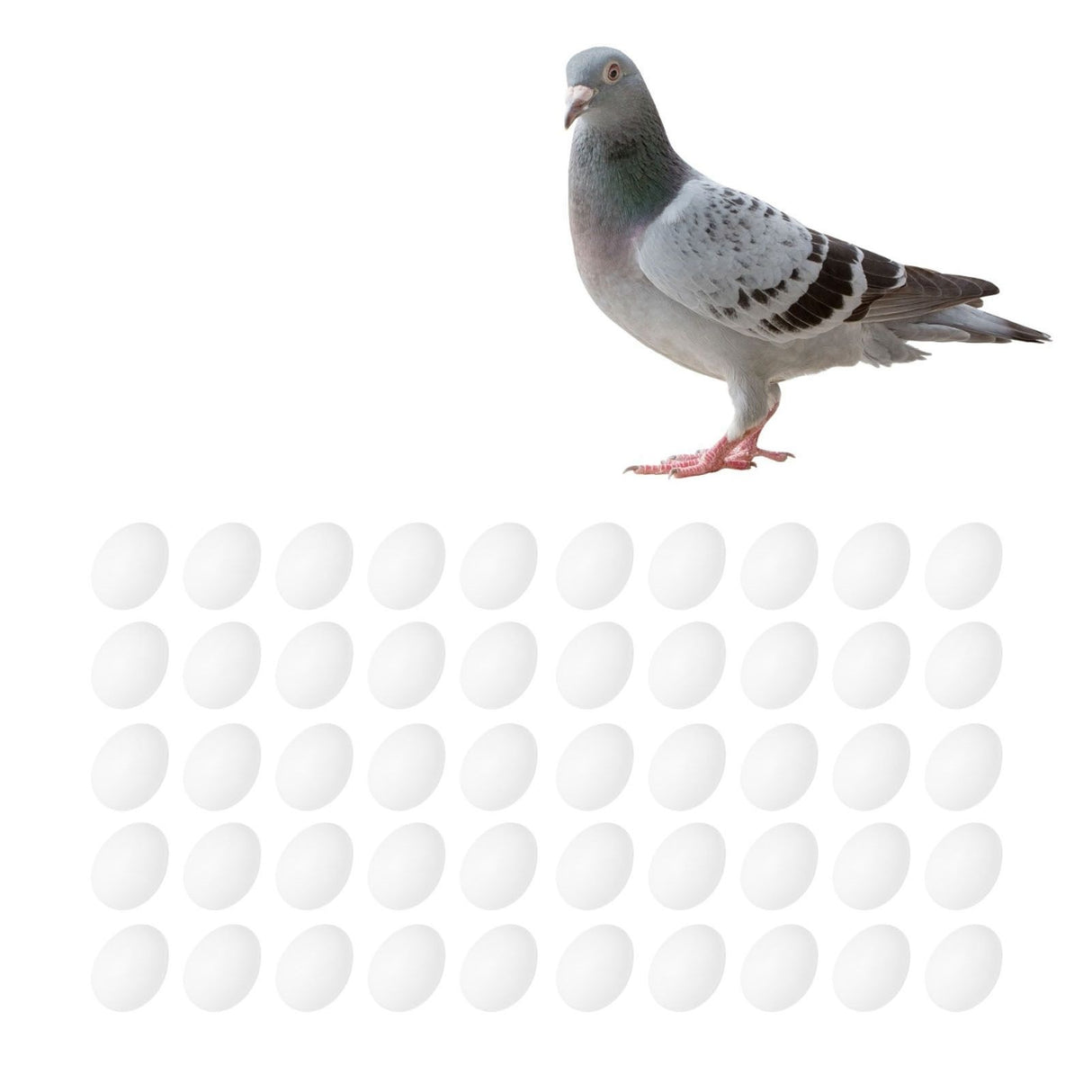 50pcs Plastic Fake Pigeon Egg Solid Fake Egg Simulation Hatching Breeding Supplies for Birds