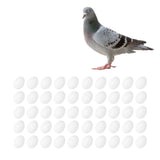 50pcs Plastic Fake Pigeon Egg Solid Fake Egg Simulation Hatching Breeding Supplies for Birds - Extra Image