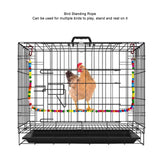 Bird Standing Rope Flexible Colorful Swing Cage Hanging Chewing Climbing Toys Supplies - Extra Image
