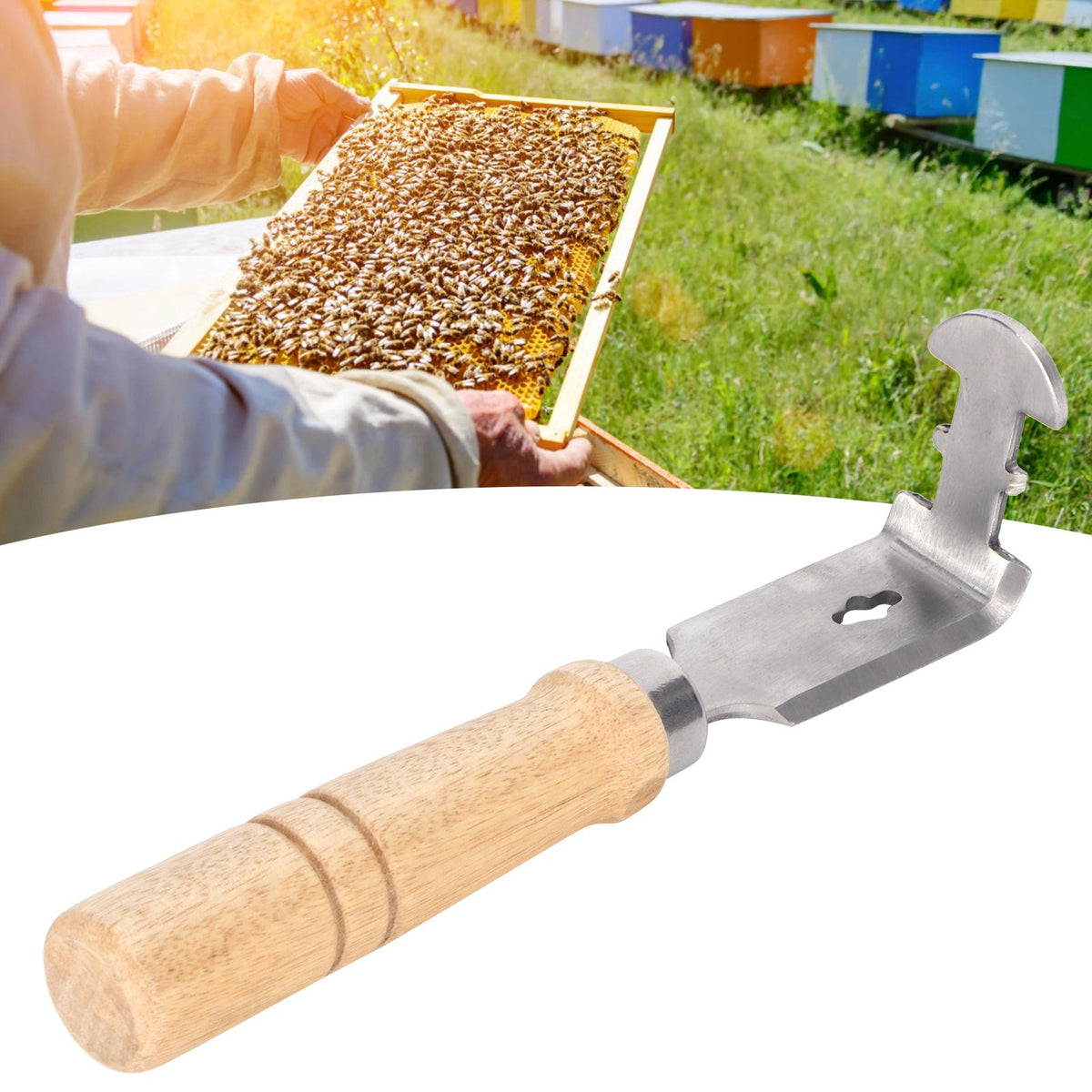 Beehive Frame Cleaning Shovel with Wood Handle Stainless Steel Scraper Cleaner Supply