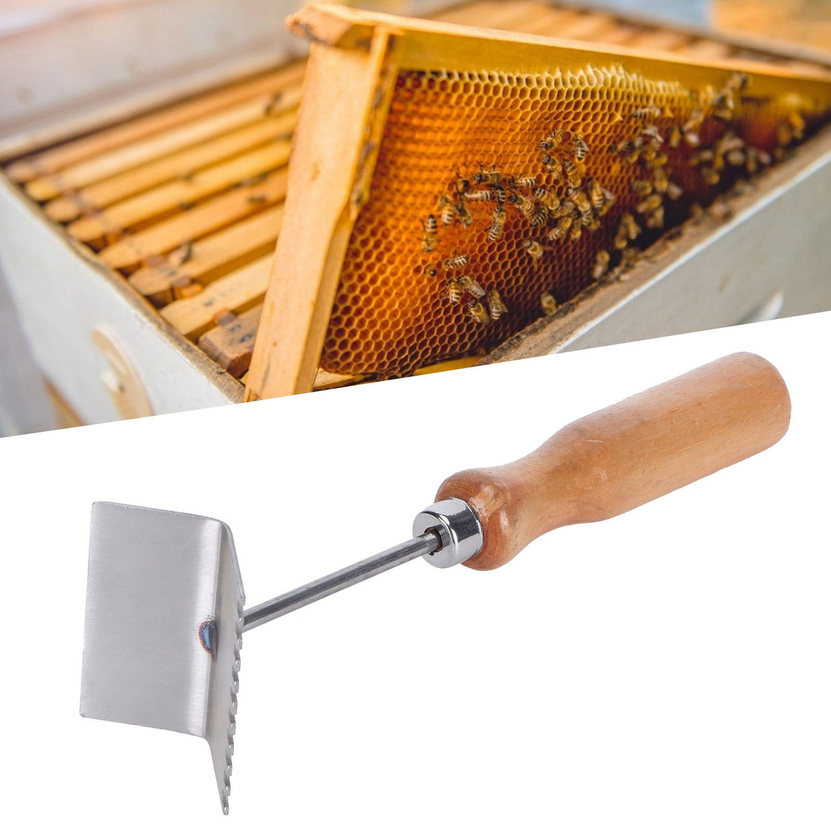 Queen Bee Excluder Beehive Frame Cleaning Shovel Beekeeper Supplies Beekeeping Equipment