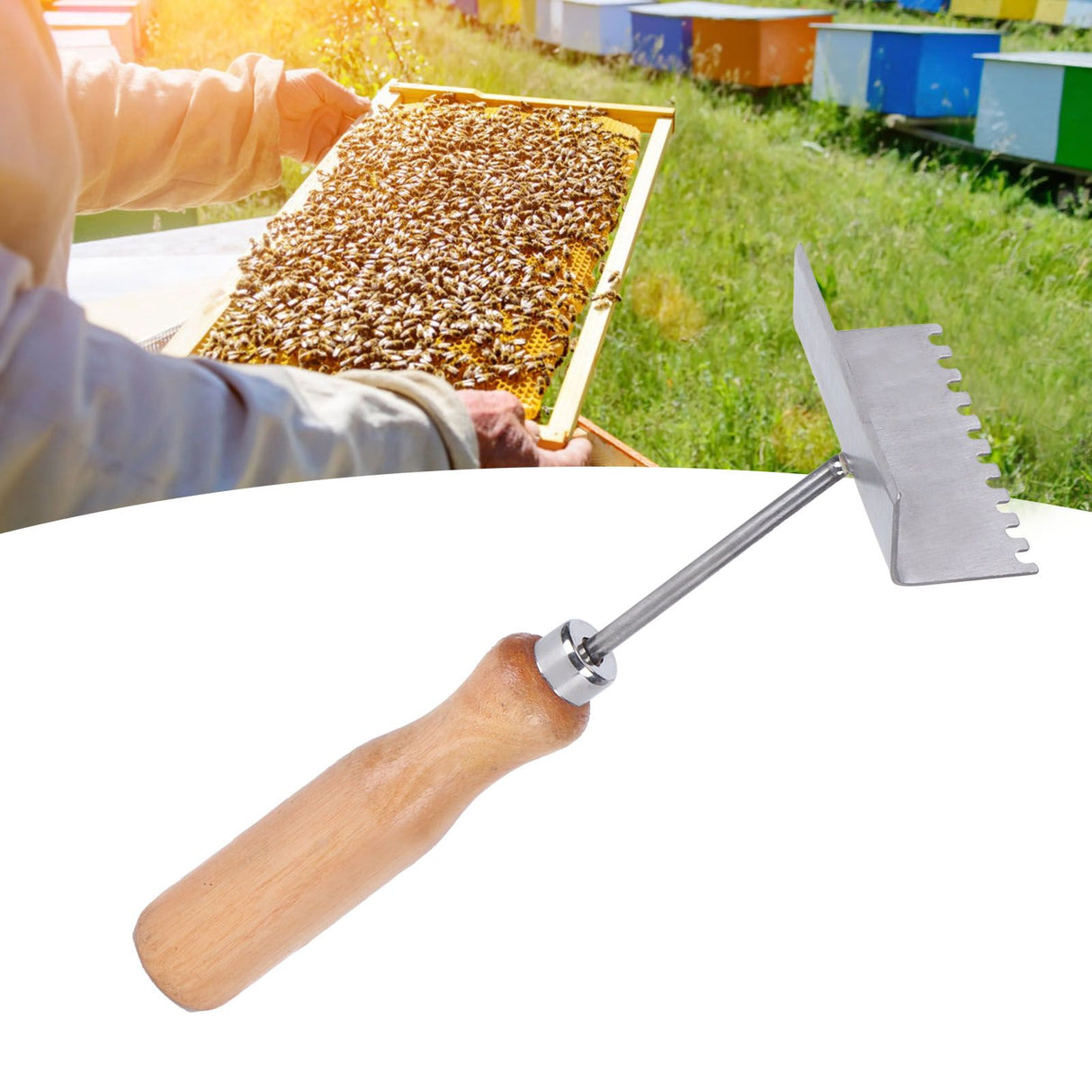 Queen Bee Excluder Beehive Frame Cleaning Shovel Beekeeper Supplies Beekeeping Equipment