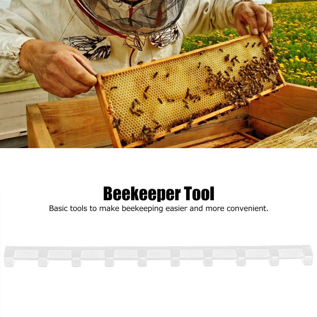 10PCS Beehive Beekeeping Spacers Frame Clips Beehive Frame Shelves Beekeeping Equipment