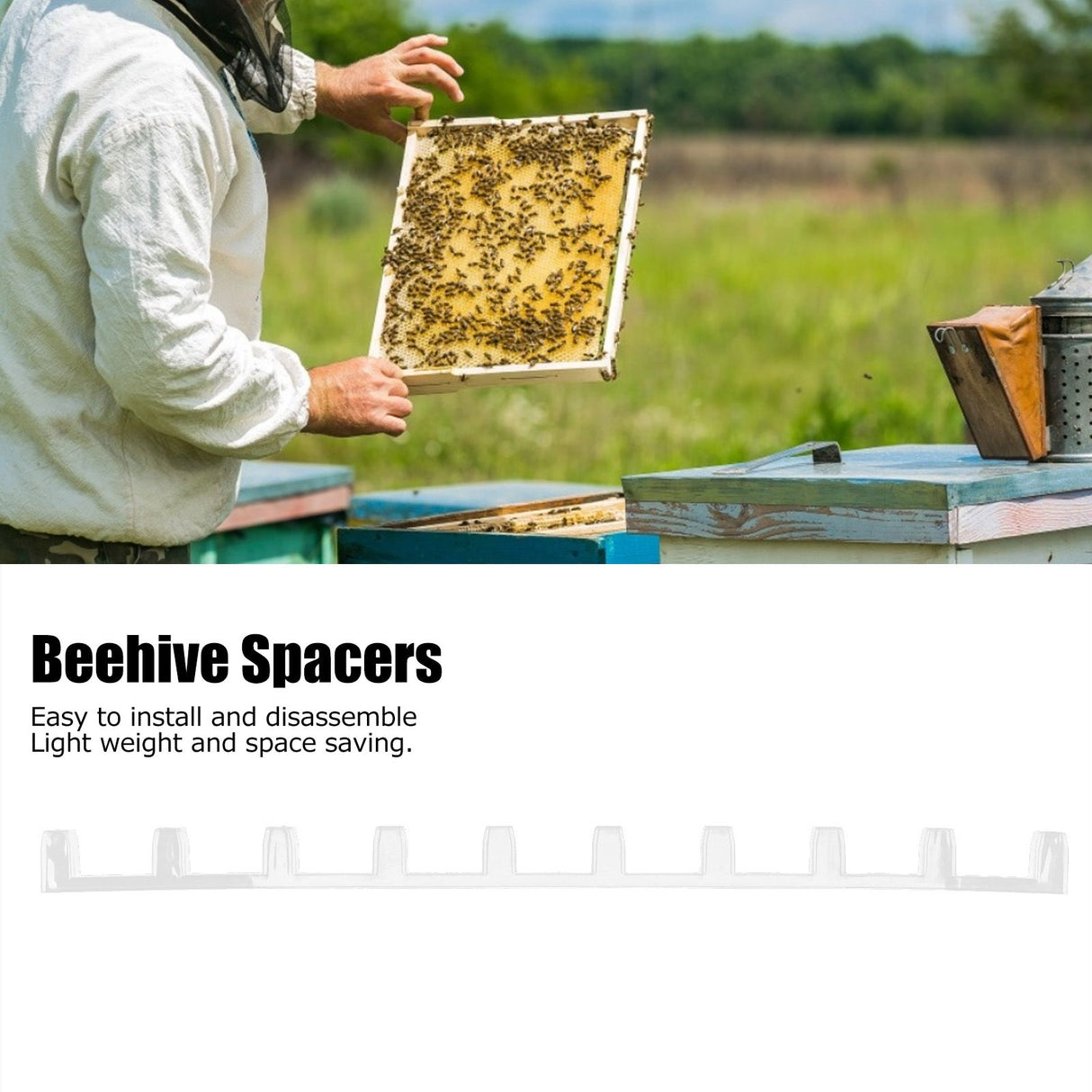 10PCS Beehive Beekeeping Spacers Frame Clips Beehive Frame Shelves Beekeeping Equipment