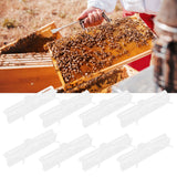 10Pcs Beehive Beetles Trap Catcher Broodlings Catching Tools Beekeeping Supplies - Extra Image