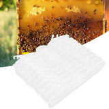 10Pcs Beehive Beetles Trap Catcher Broodlings Catching Tools Beekeeping Supplies