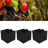 3Pcs Plant Growing Bag with Handles Black Square Felt Garden Vegetable Grow Container19.5x19.5x20cm - Extra Image