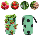 12 Holes Strawberry Planter Bag with Handles Portable Felt Plant Growing Bag for GardenGreen 20x35cm - Extra Image