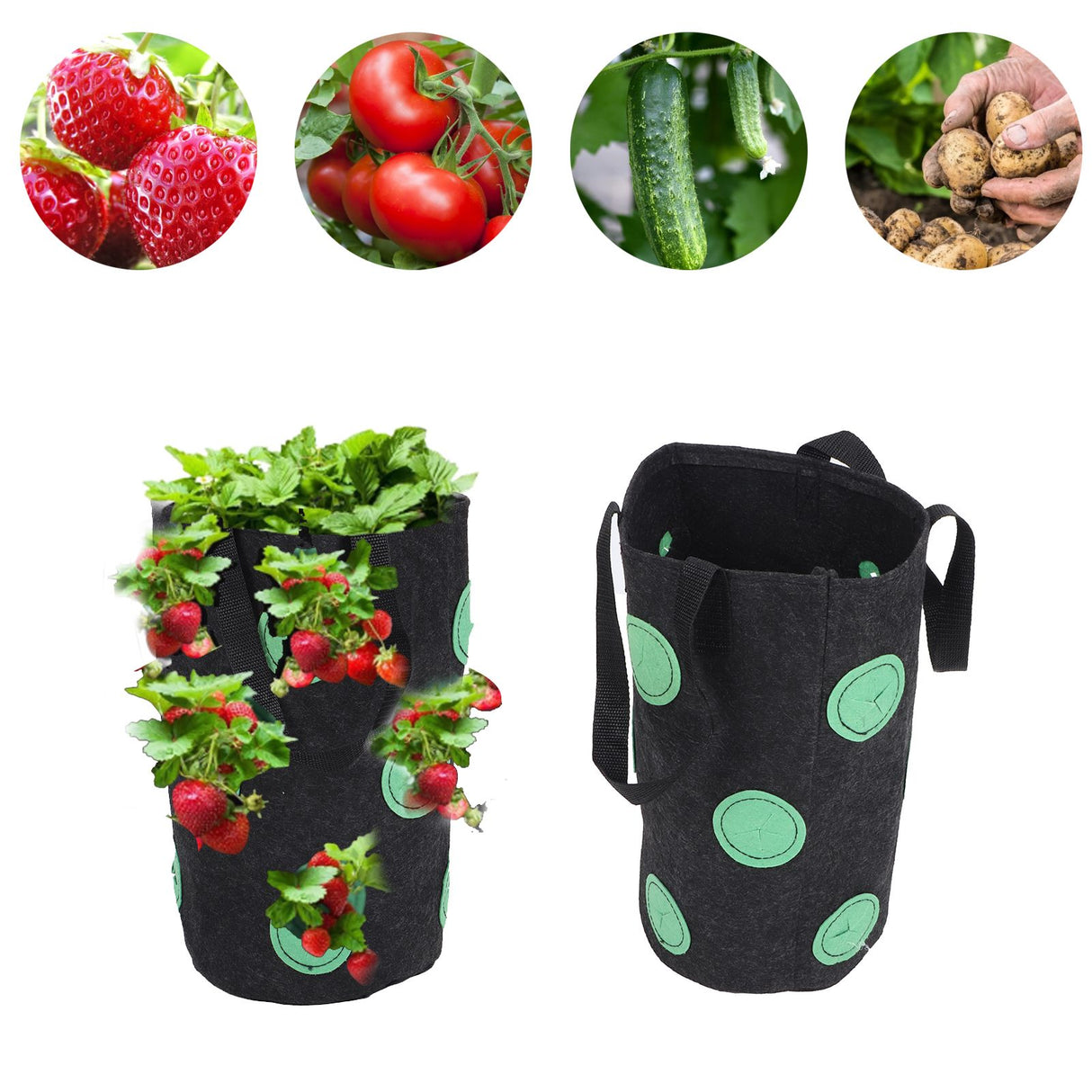12 Holes Strawberry Planter Bag with Handles Portable Felt Plant Growing Bag for GardenBlack 20x35cm